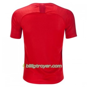 Billige Fotballdrakter England VM 2018 Bortedraktsett